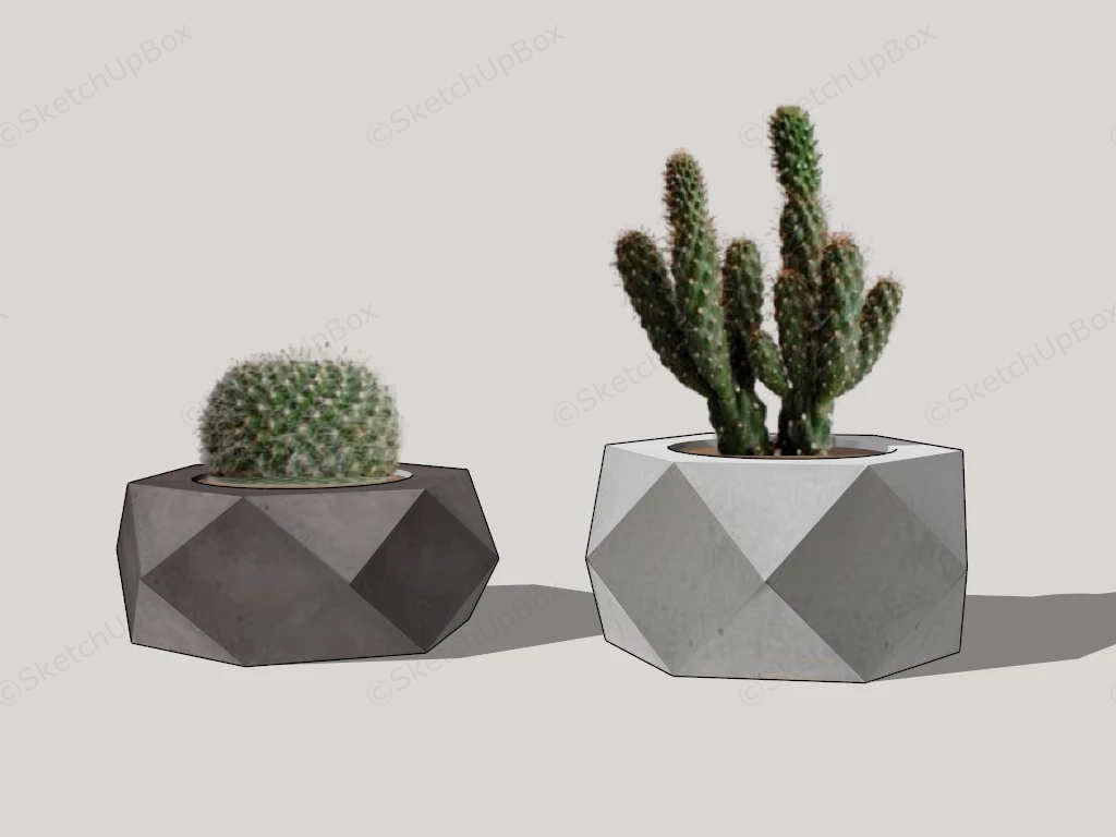 Potted Mini Cactus sketchup model preview - SketchupBox