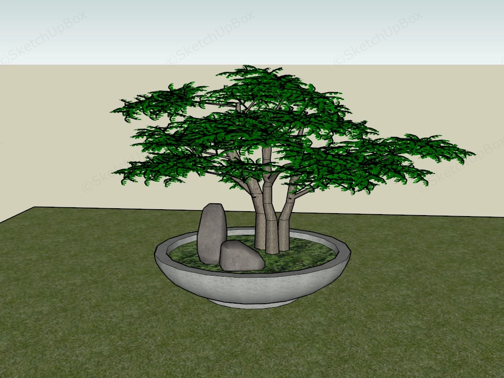Elm Bonsai Tree sketchup model preview - SketchupBox