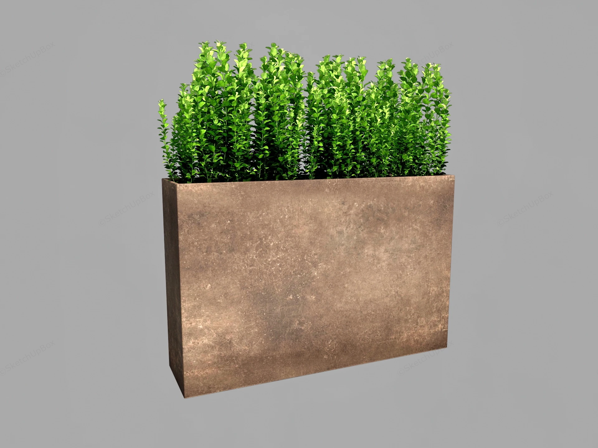 Rectangle Tall Planter sketchup model preview - SketchupBox