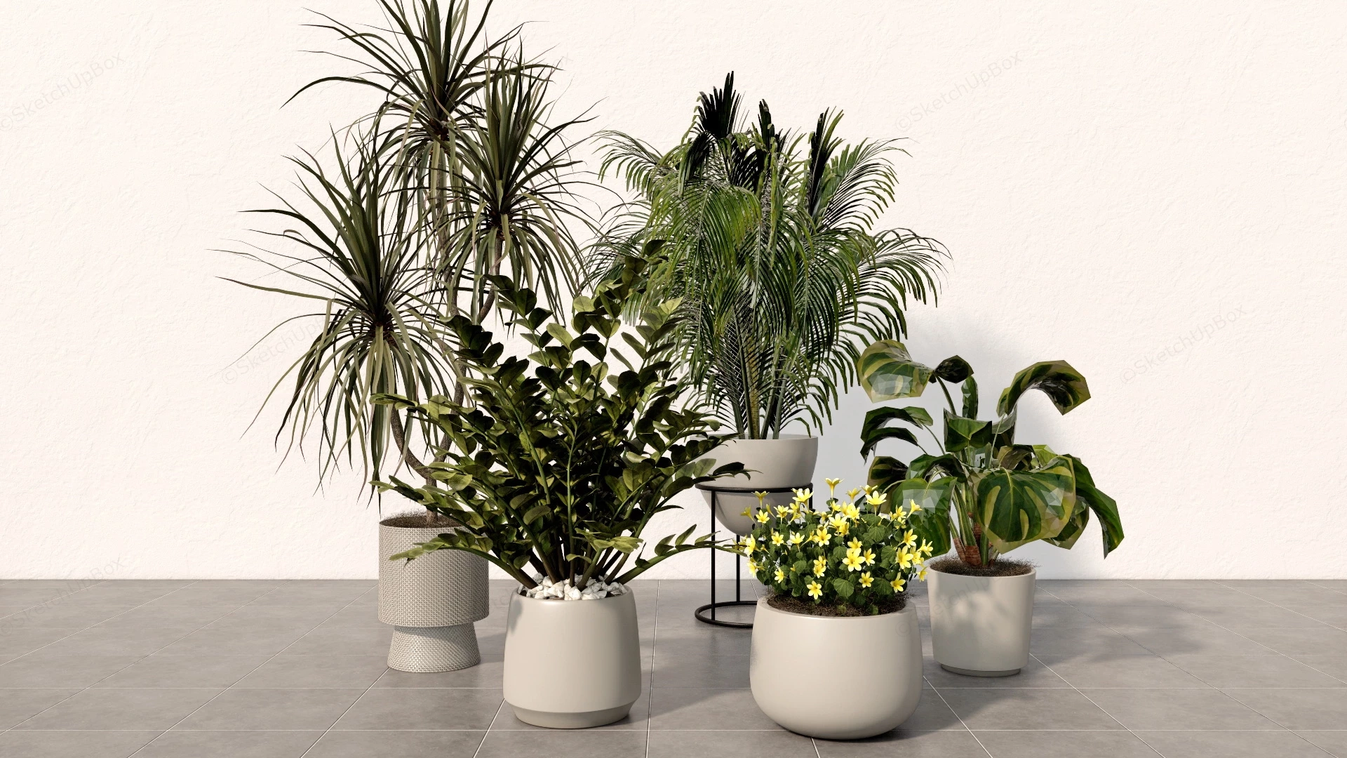 Indoor Floor Plants sketchup model preview - SketchupBox