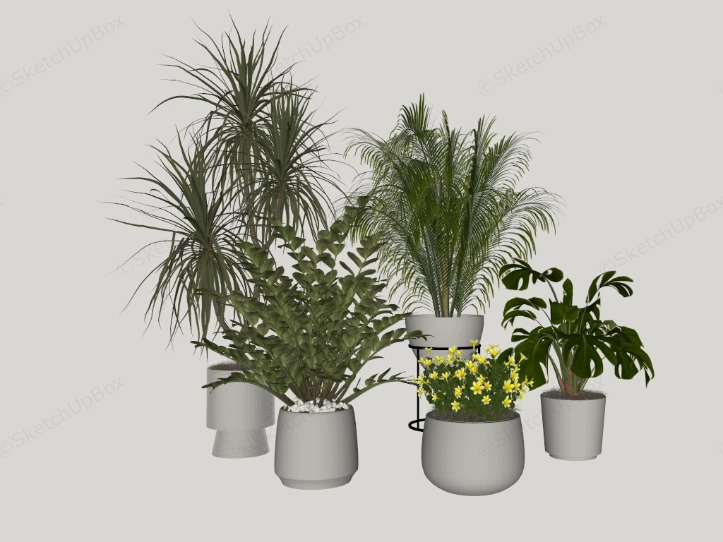 Indoor Floor Plants sketchup model preview - SketchupBox