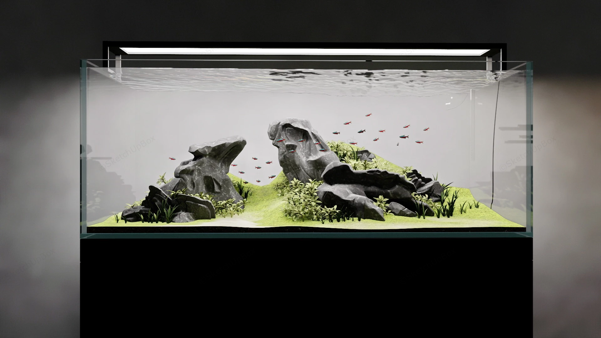 Freshwater Aquarium Design sketchup model preview - SketchupBox