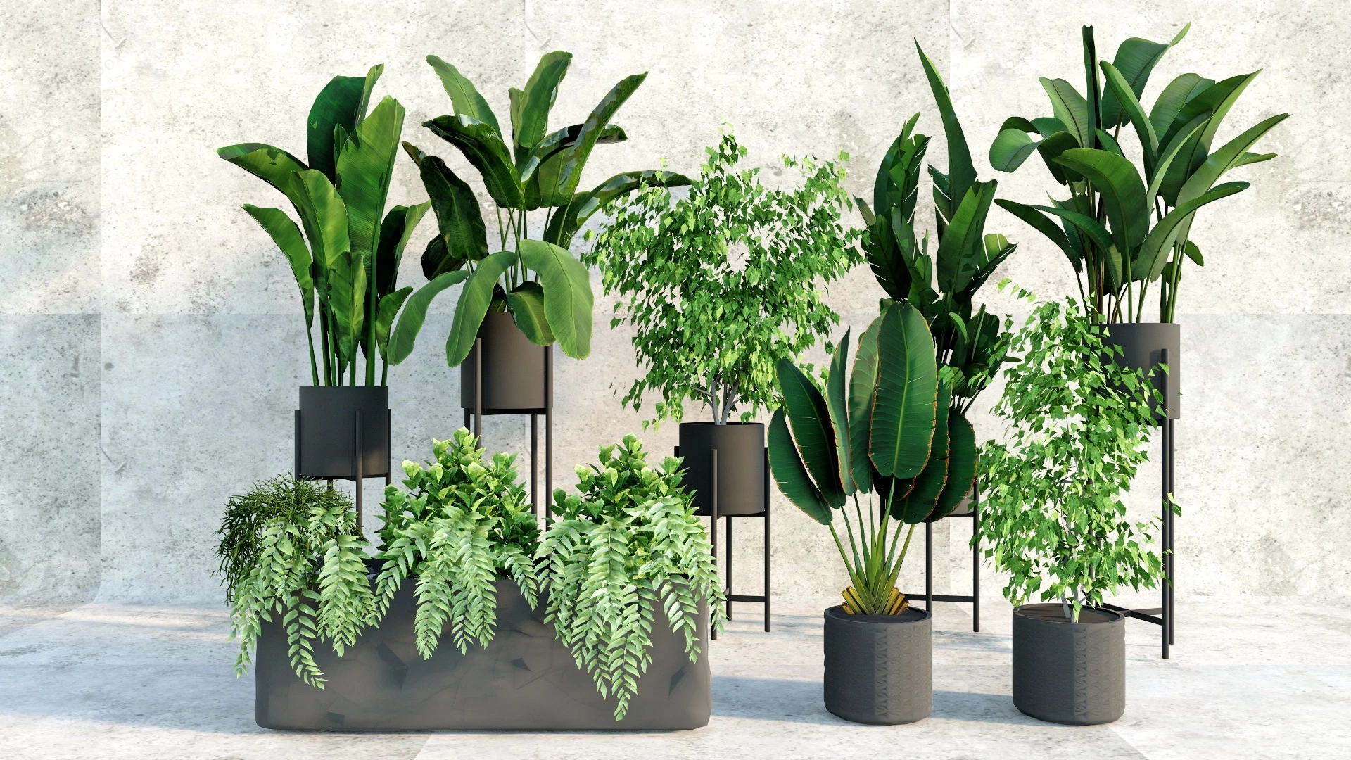 Tropical Foliage Plants sketchup model preview - SketchupBox