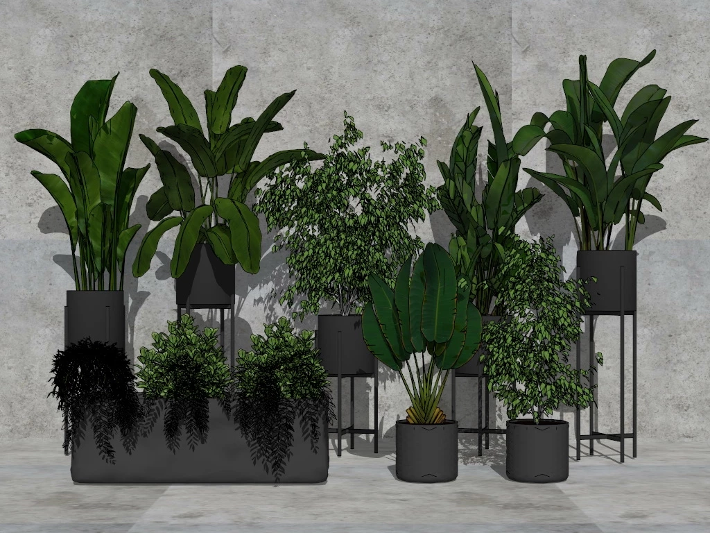 Tropical Foliage Plants sketchup model preview - SketchupBox