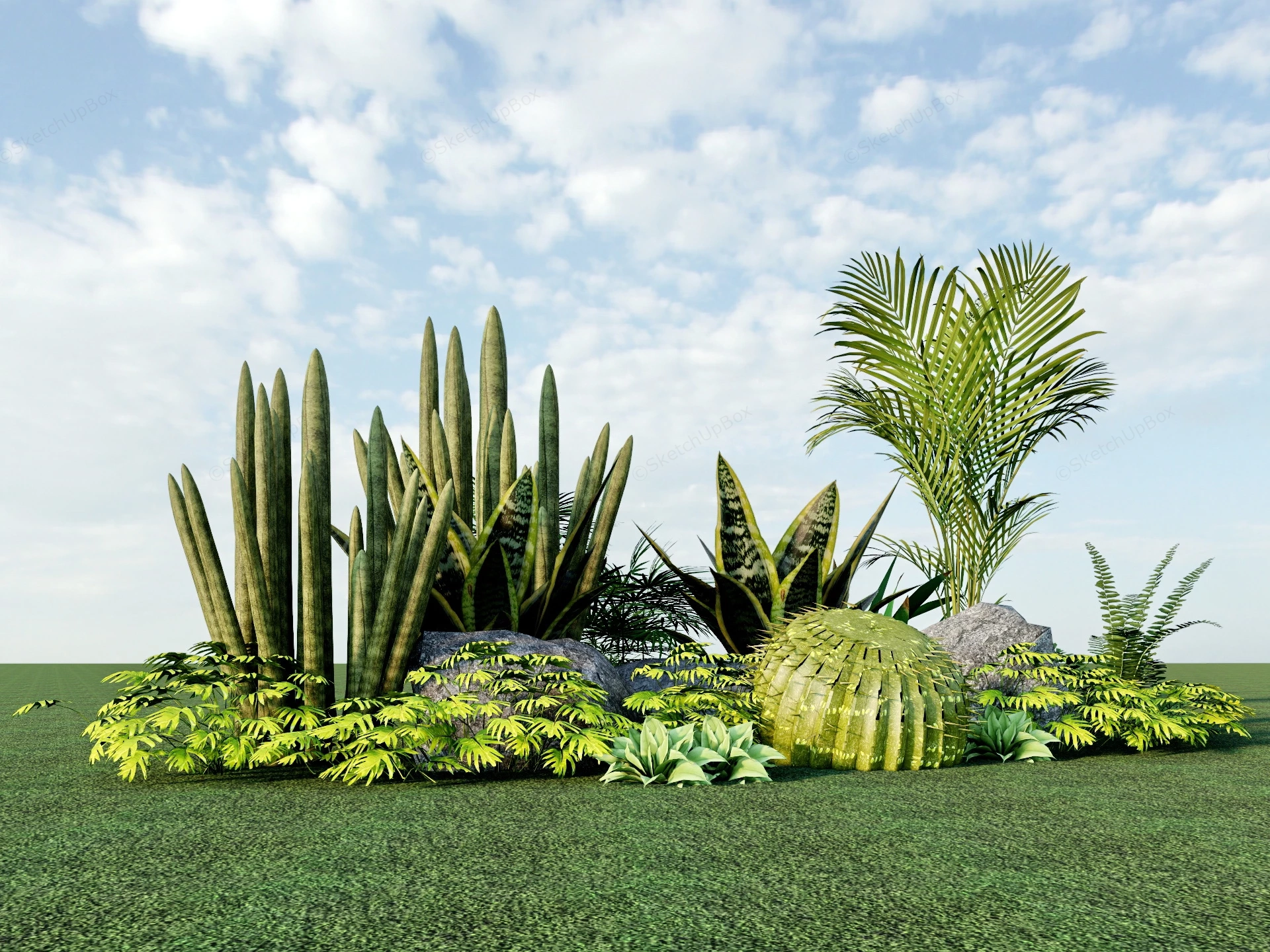 Ornamental Garden Plants Ideas sketchup model preview - SketchupBox