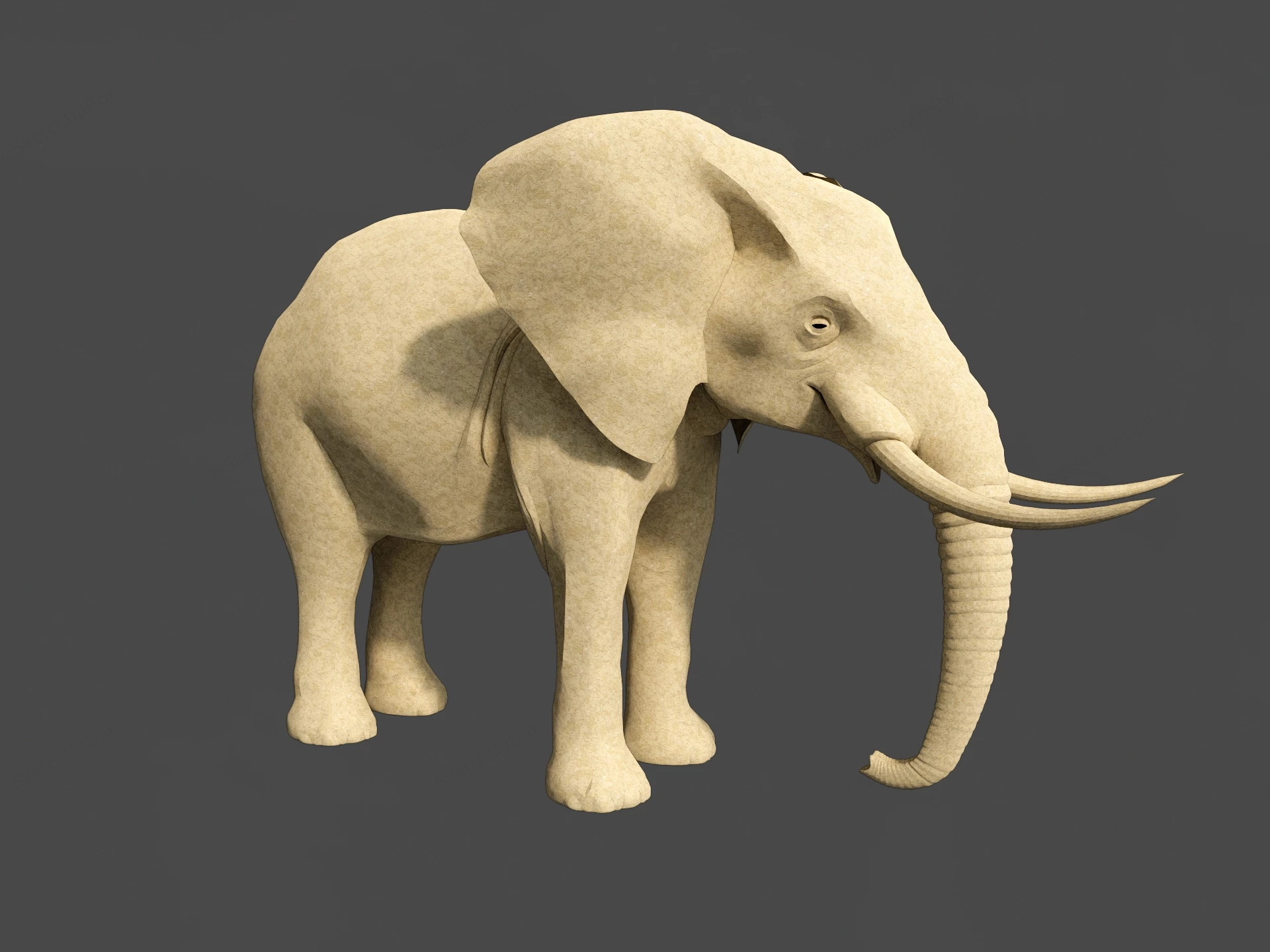 White Elephant sketchup model preview - SketchupBox
