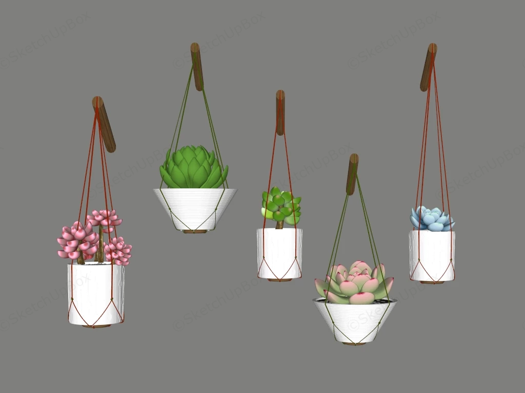 Hanging Succulent Plants sketchup model preview - SketchupBox