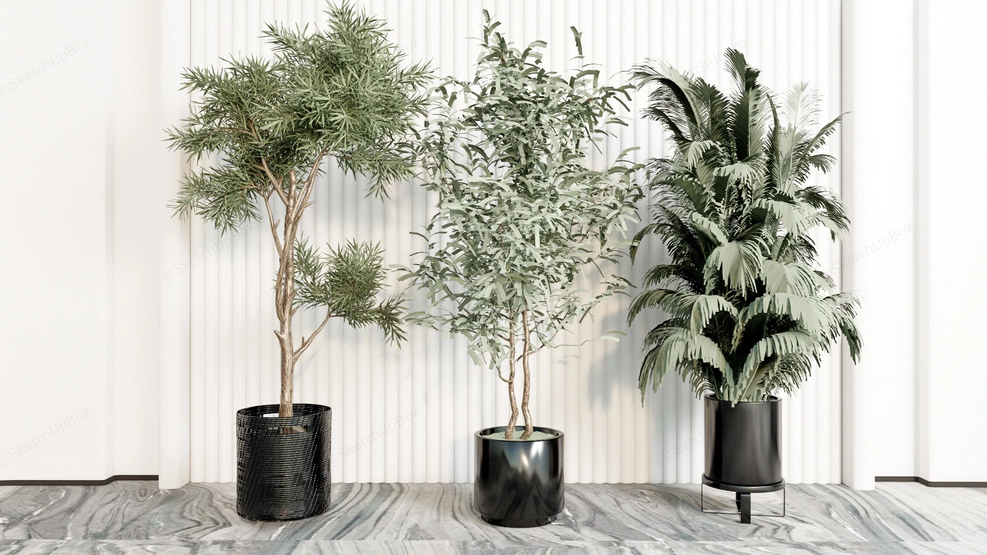 Large Indoor Plants sketchup model preview - SketchupBox