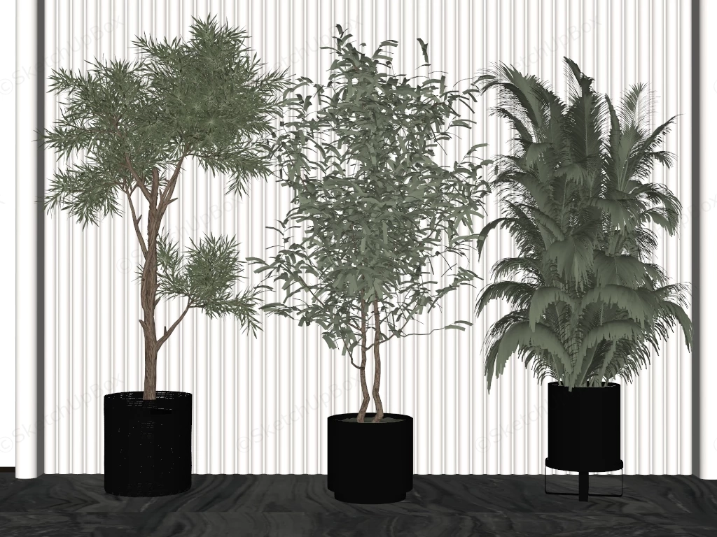 Large Indoor Plants sketchup model preview - SketchupBox