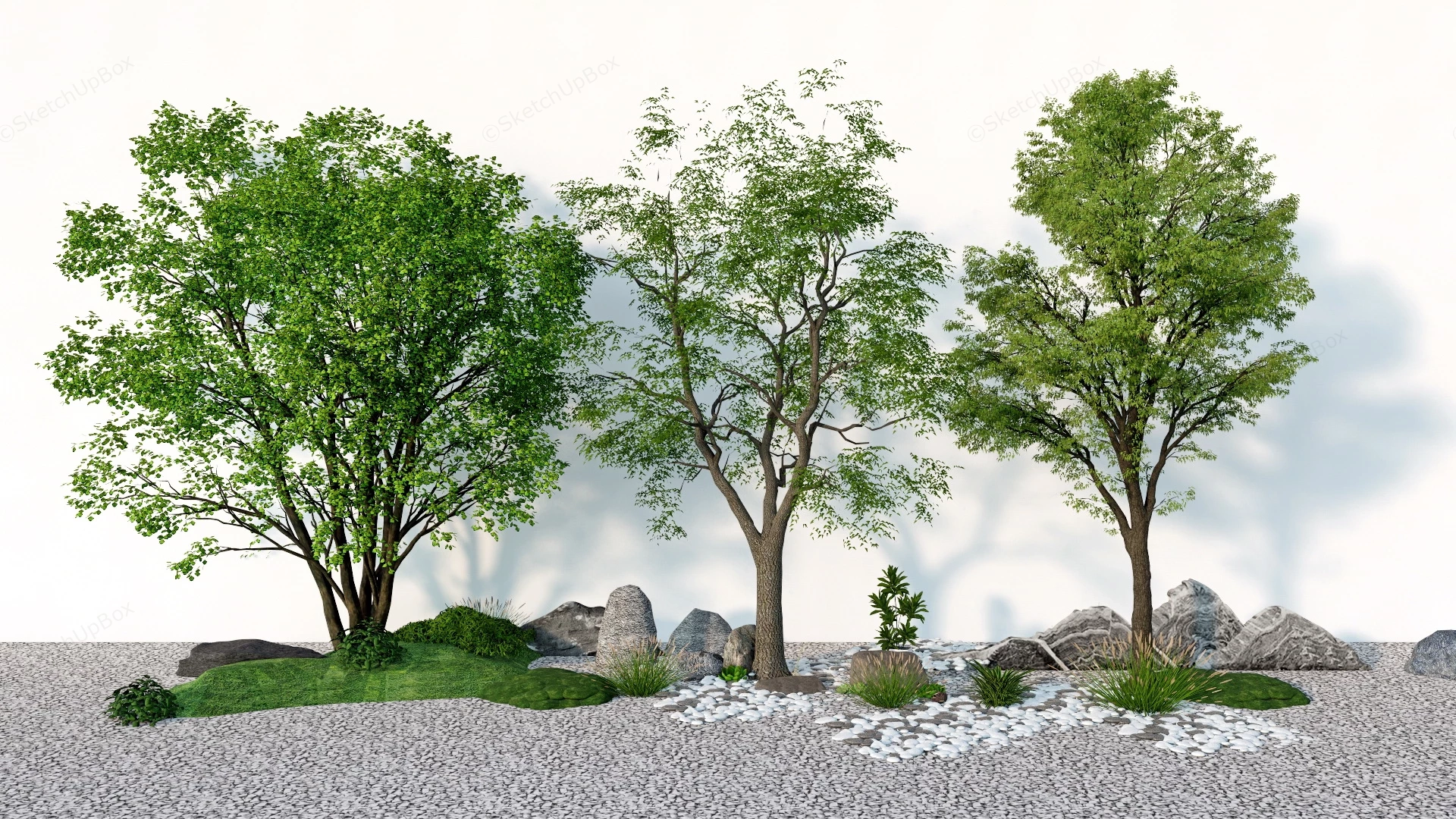 Backyard Landscaping Trees sketchup model preview - SketchupBox