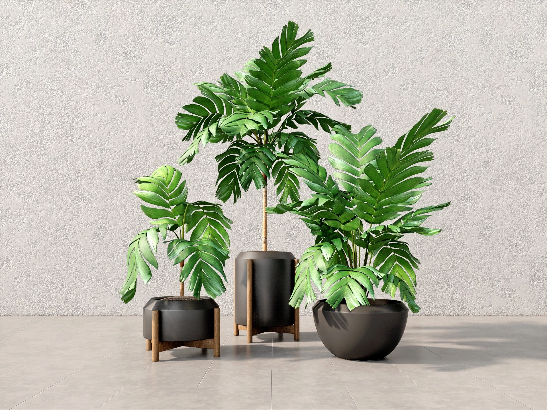 Indoor Foliage Plants sketchup model preview - SketchupBox