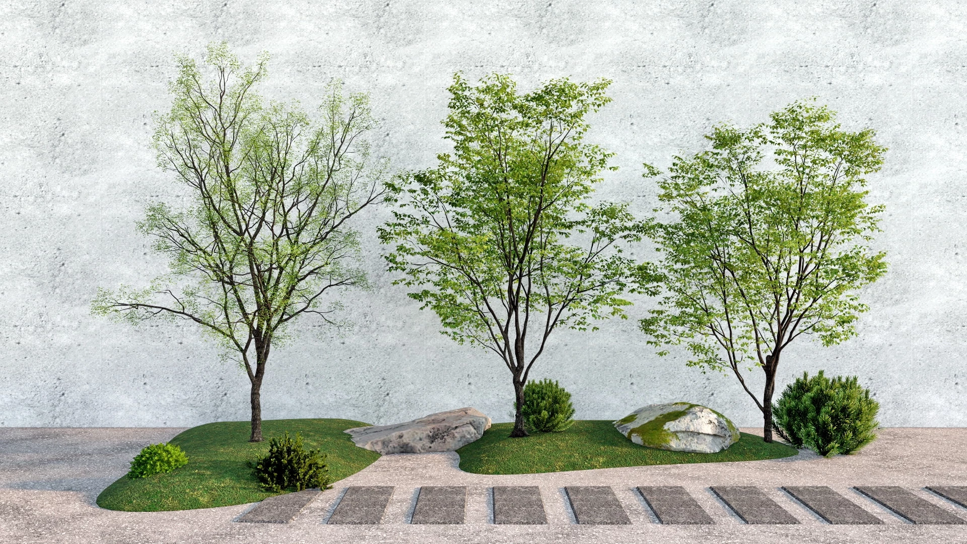 Patio Landscape Trees sketchup model preview - SketchupBox
