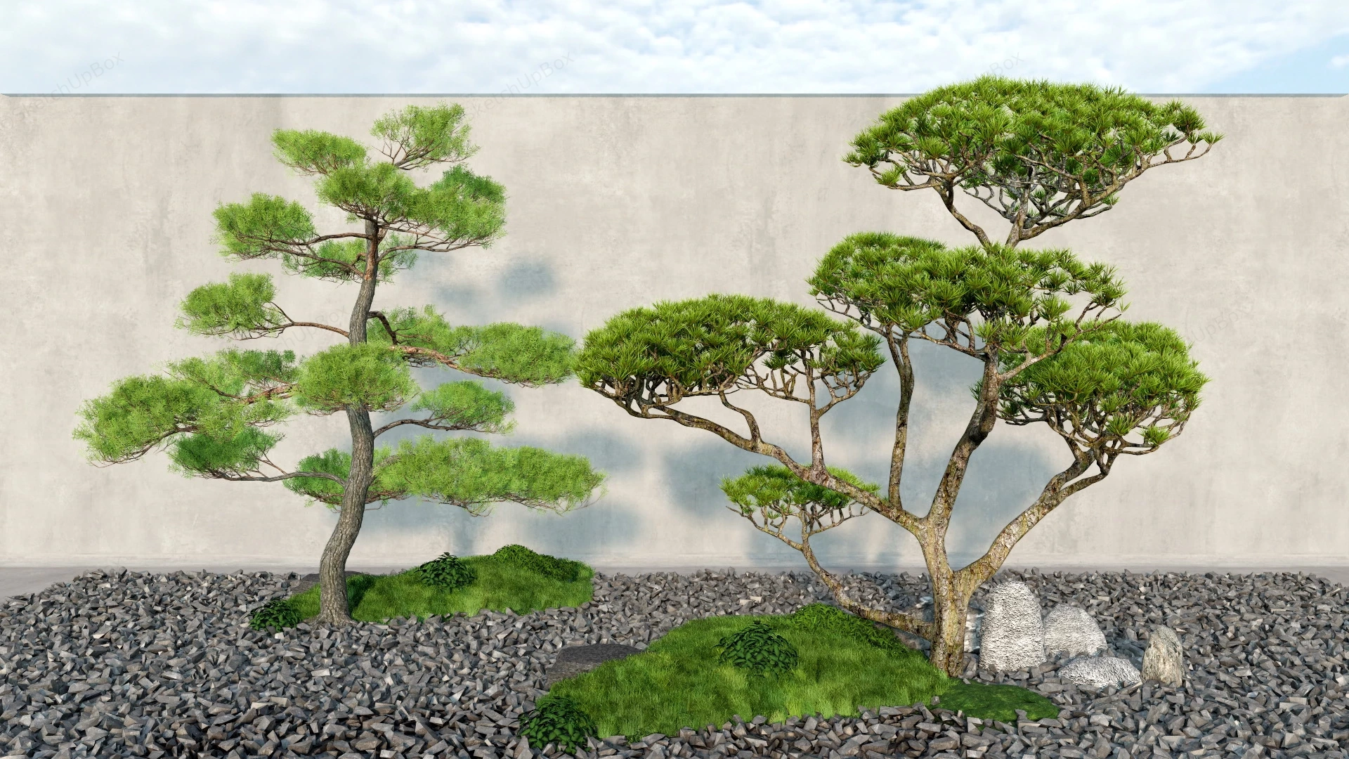 Japanese Garden Bonsai Trees sketchup model preview - SketchupBox