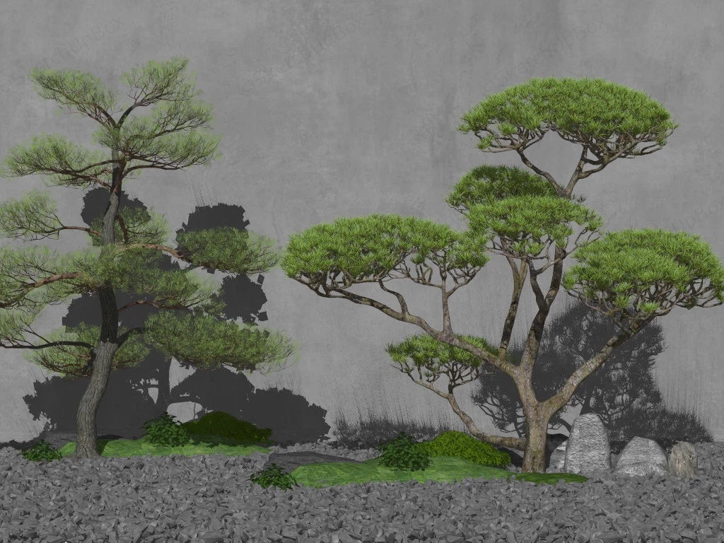 Japanese Garden Bonsai Trees sketchup model preview - SketchupBox