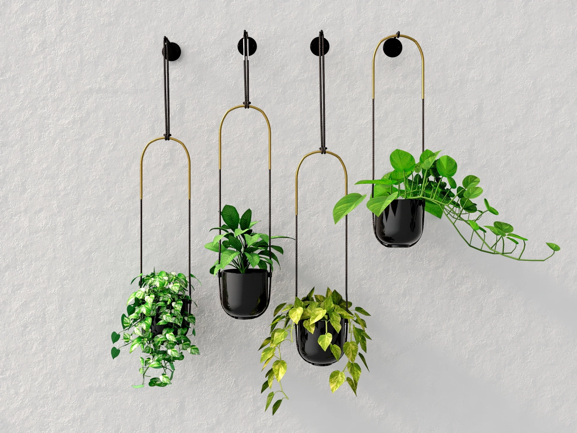 Wall Mount Hanging Plant sketchup model preview - SketchupBox