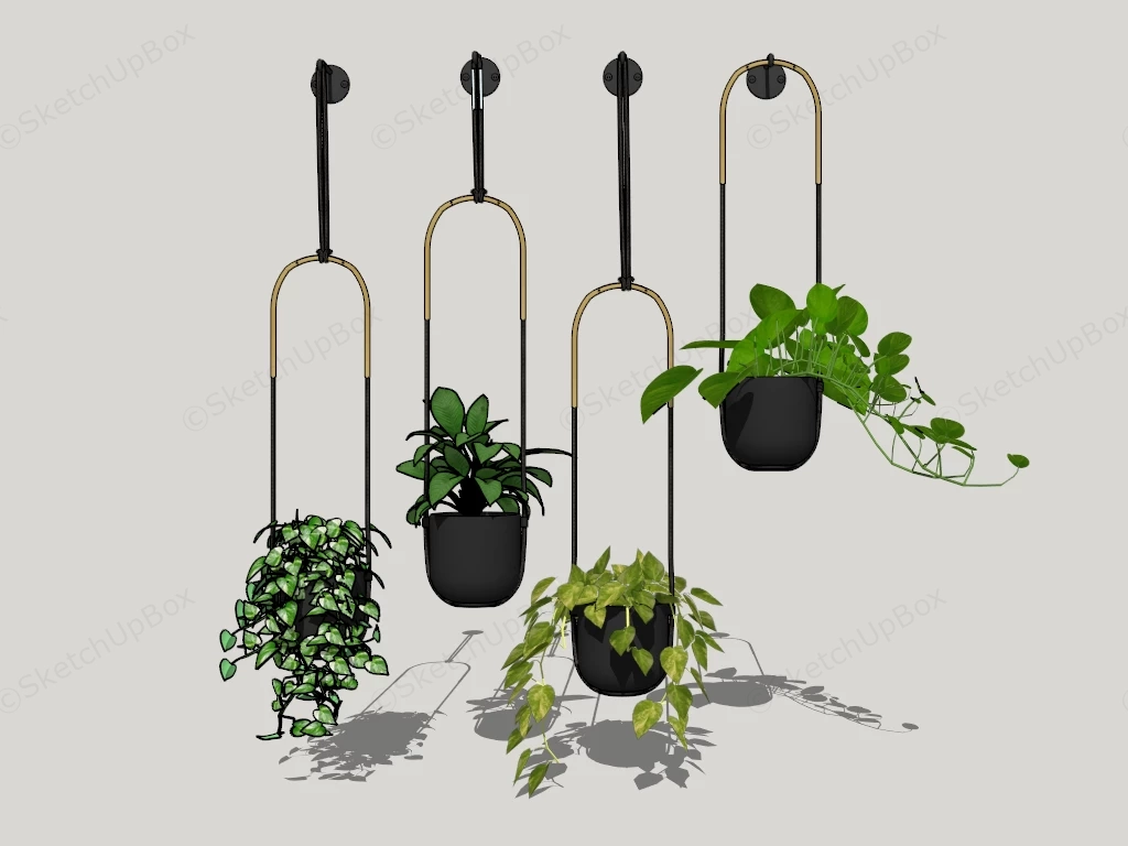 Wall Mount Hanging Plant sketchup model preview - SketchupBox