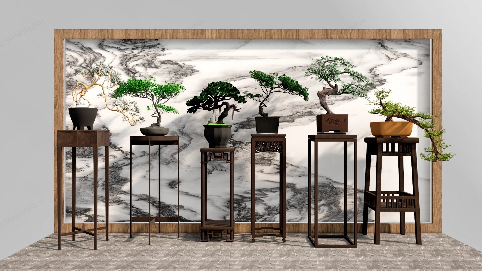 Indoor Bonsai Plants sketchup model preview - SketchupBox