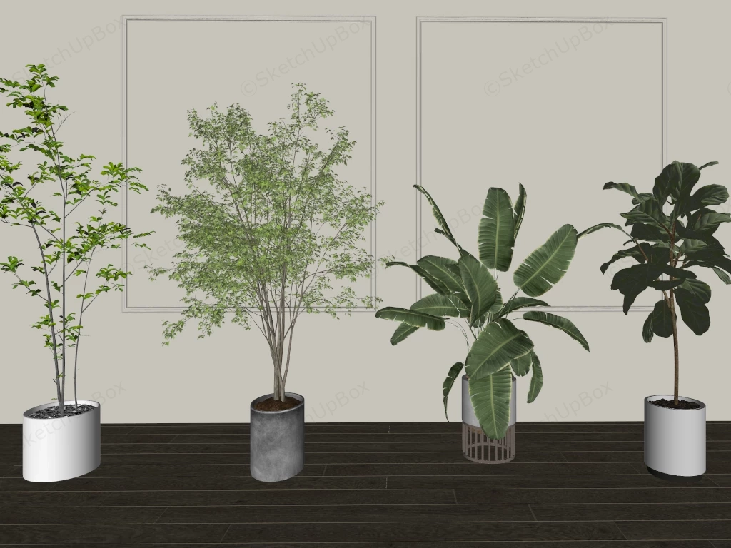 Common Tall Houseplants sketchup model preview - SketchupBox