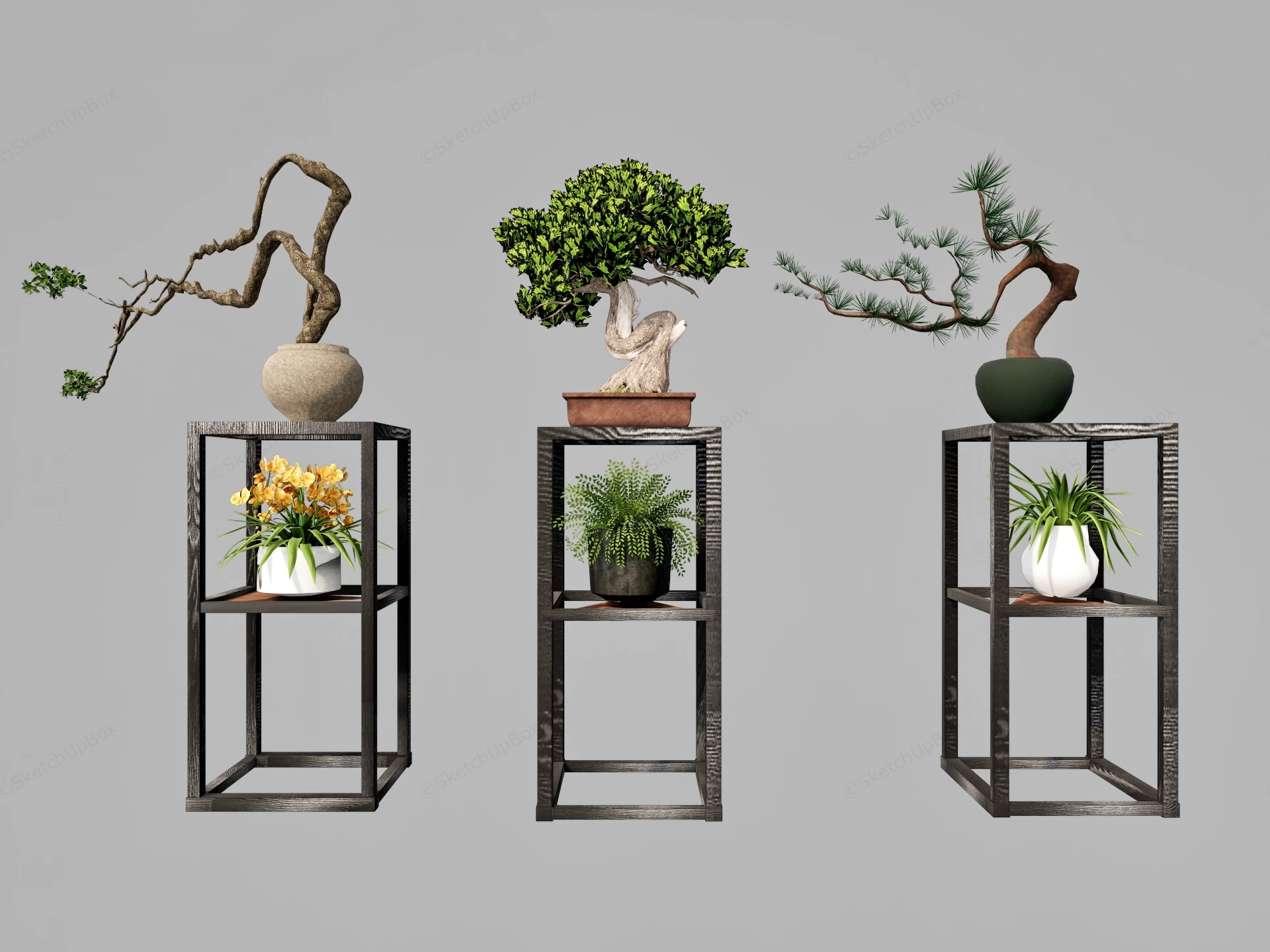 Bonsai & Plant Stands sketchup model preview - SketchupBox