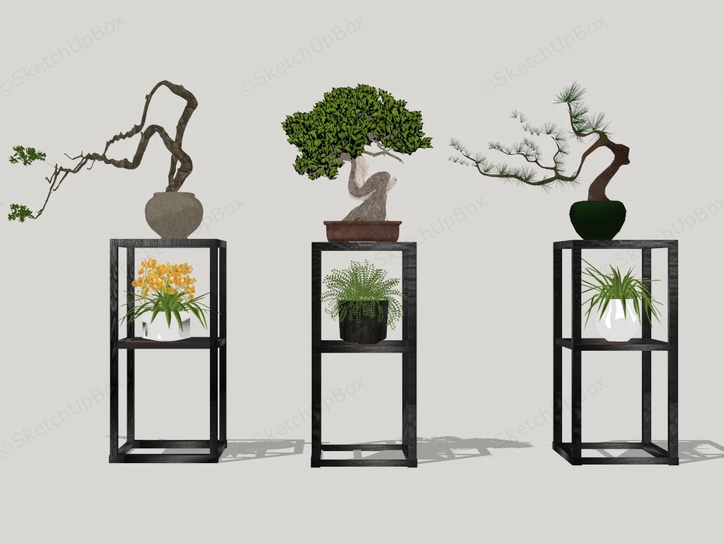 Bonsai & Plant Stands sketchup model preview - SketchupBox