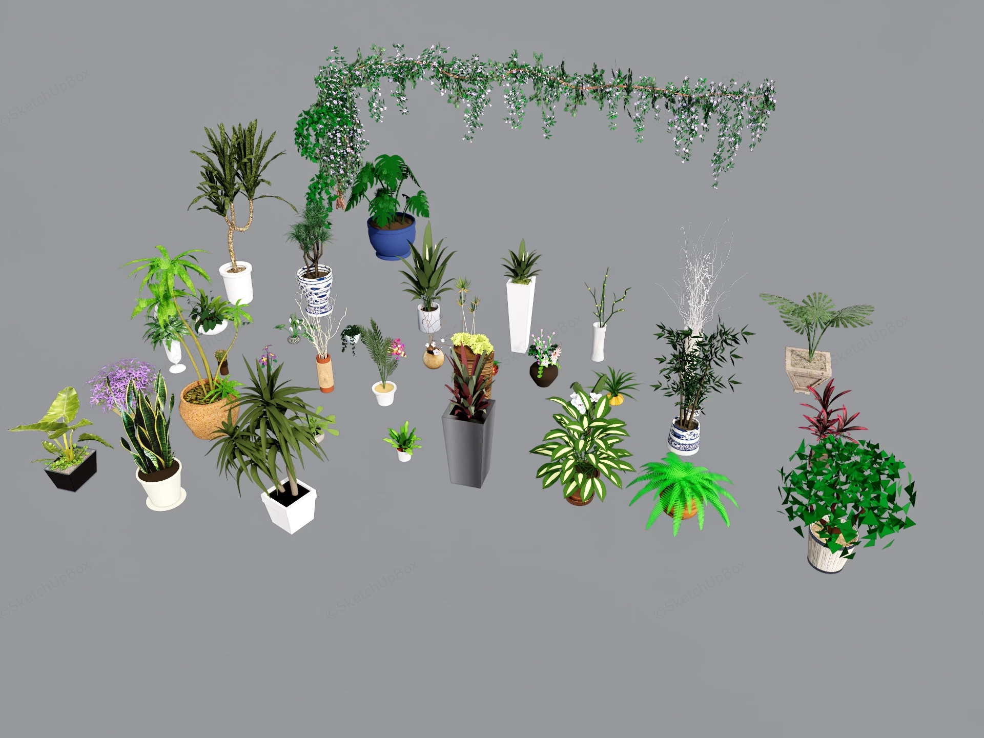 Houseplant Collection sketchup model preview - SketchupBox