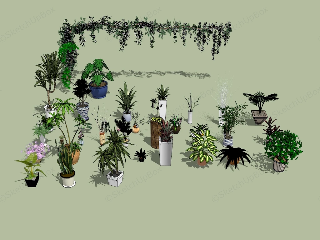 Houseplant Collection sketchup model preview - SketchupBox