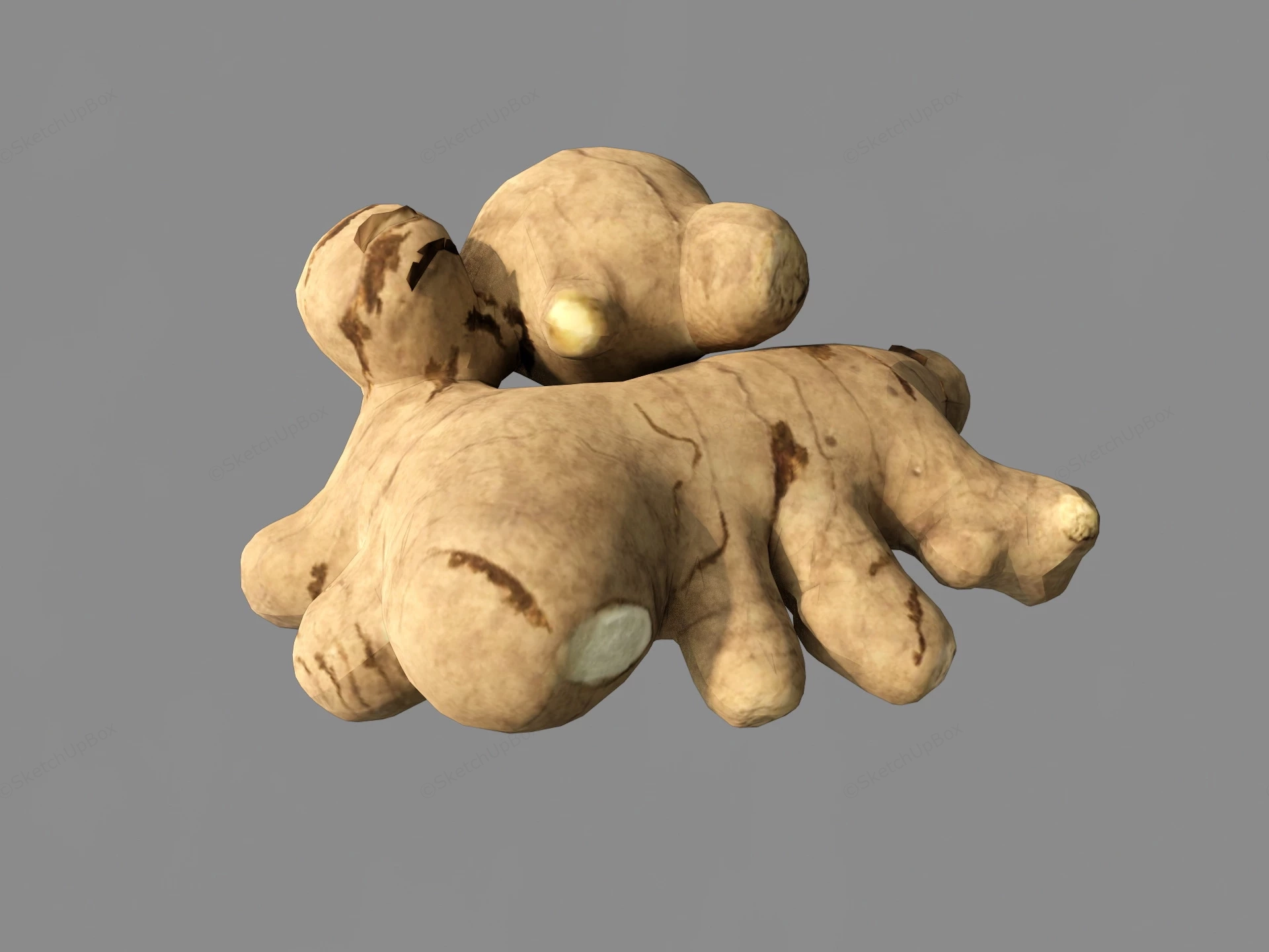 Fresh Ginger Root sketchup model preview - SketchupBox