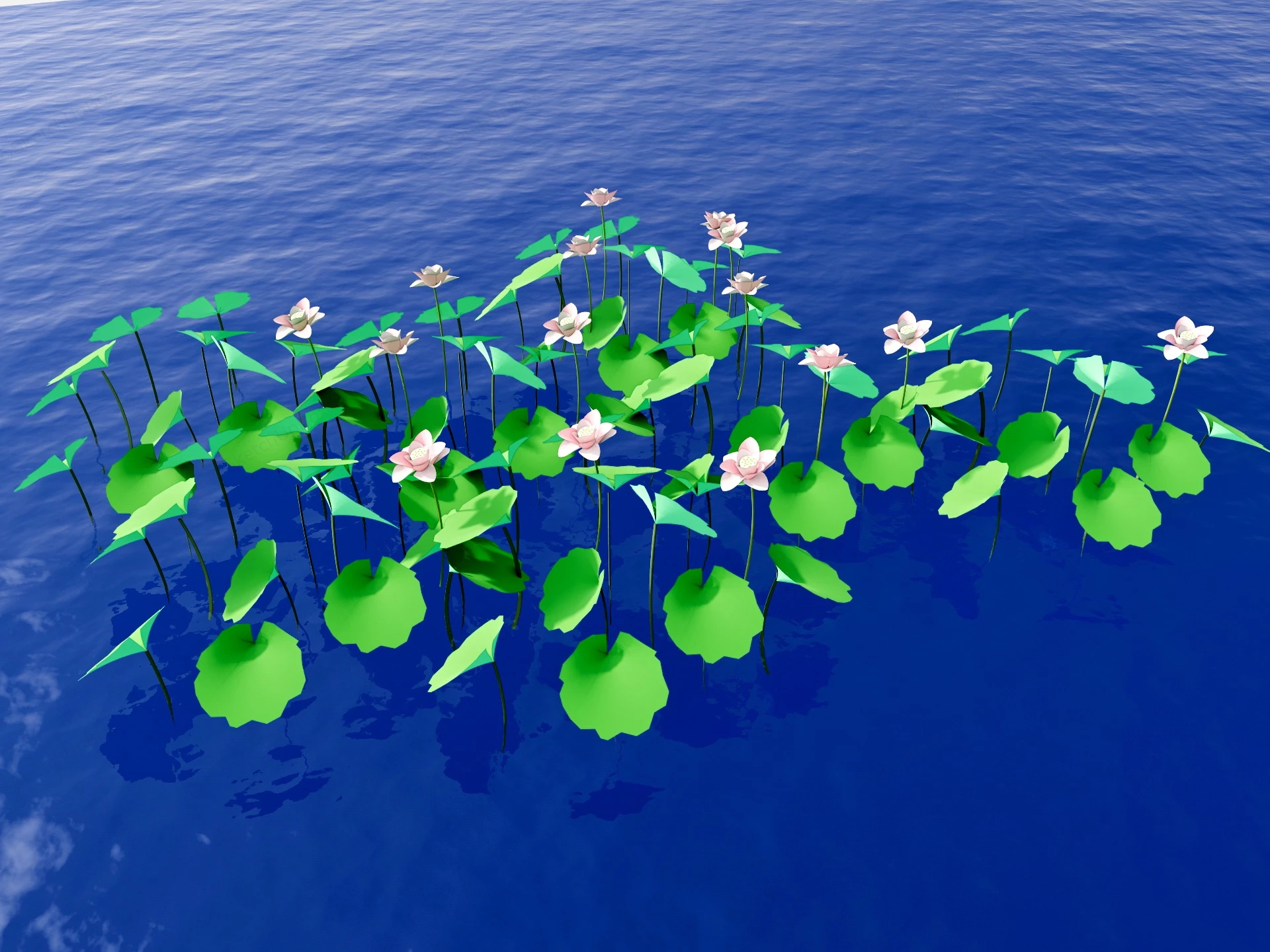 Water Lily Plants sketchup model preview - SketchupBox