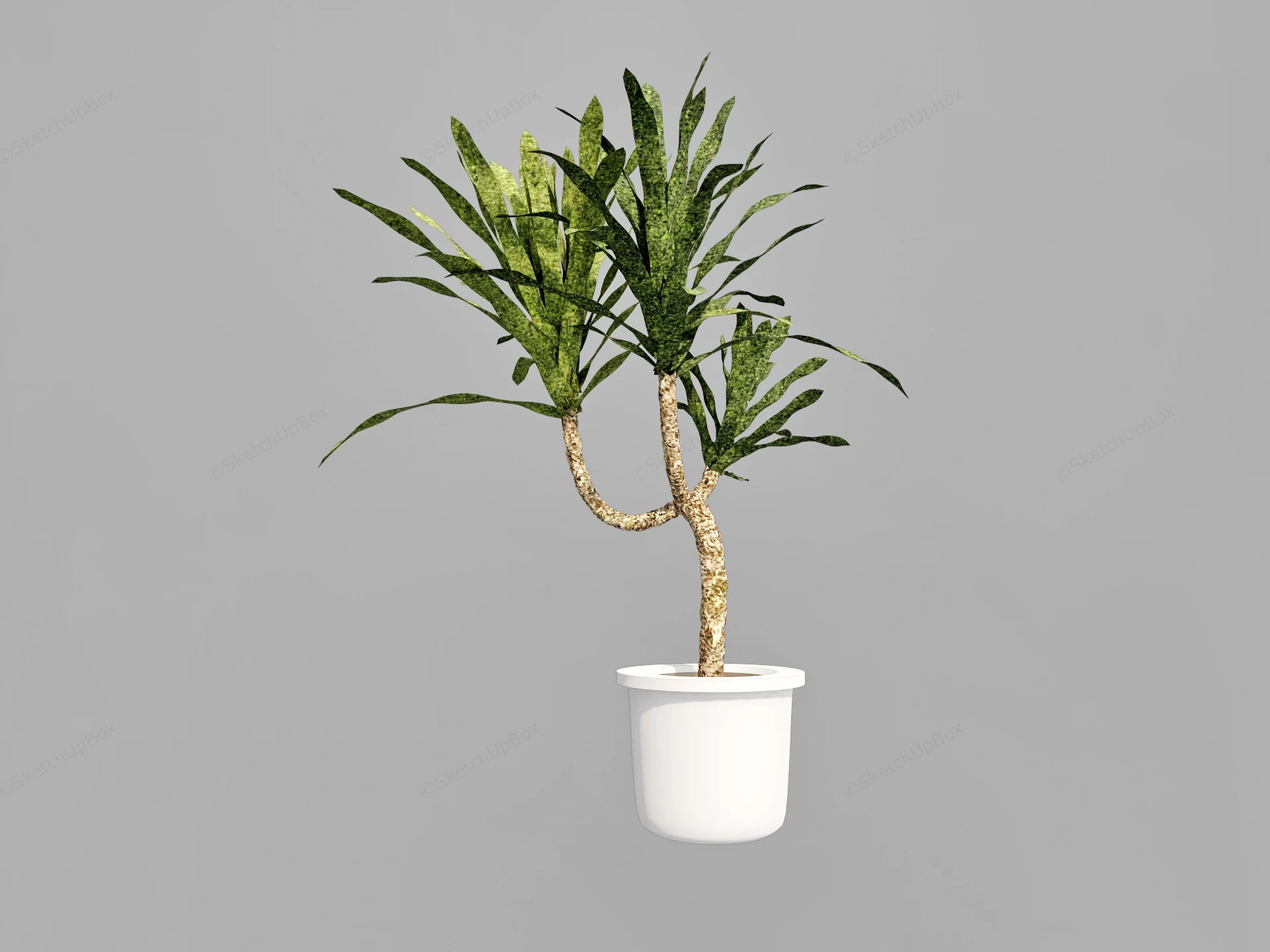 Old House Plant sketchup model preview - SketchupBox