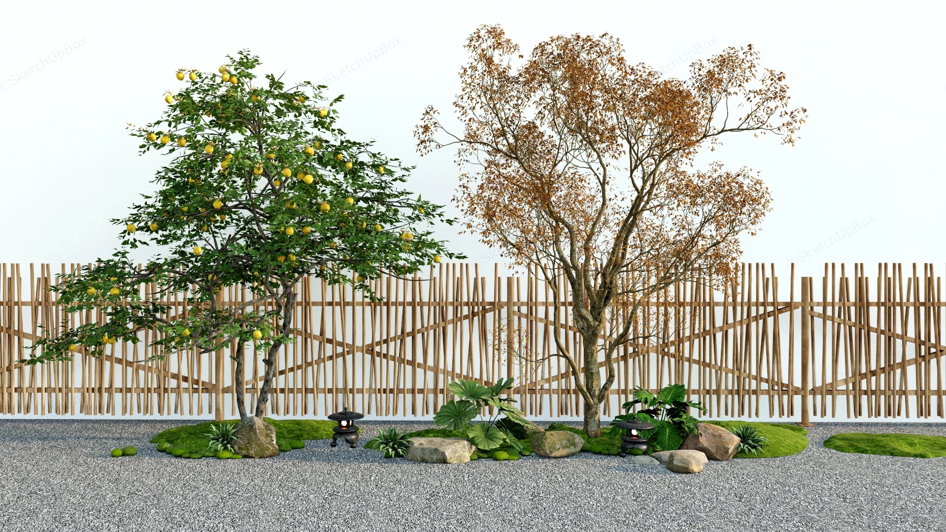 Backyard Landscaping Trees sketchup model preview - SketchupBox