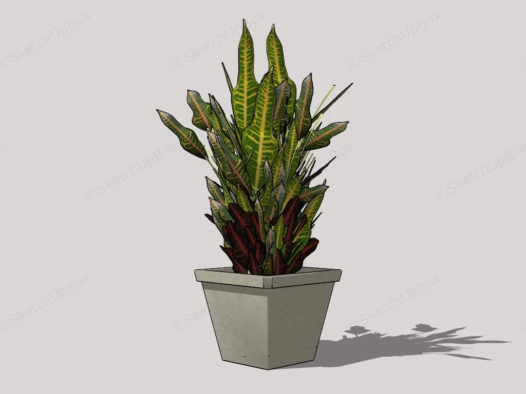 Peacock Plant sketchup model preview - SketchupBox