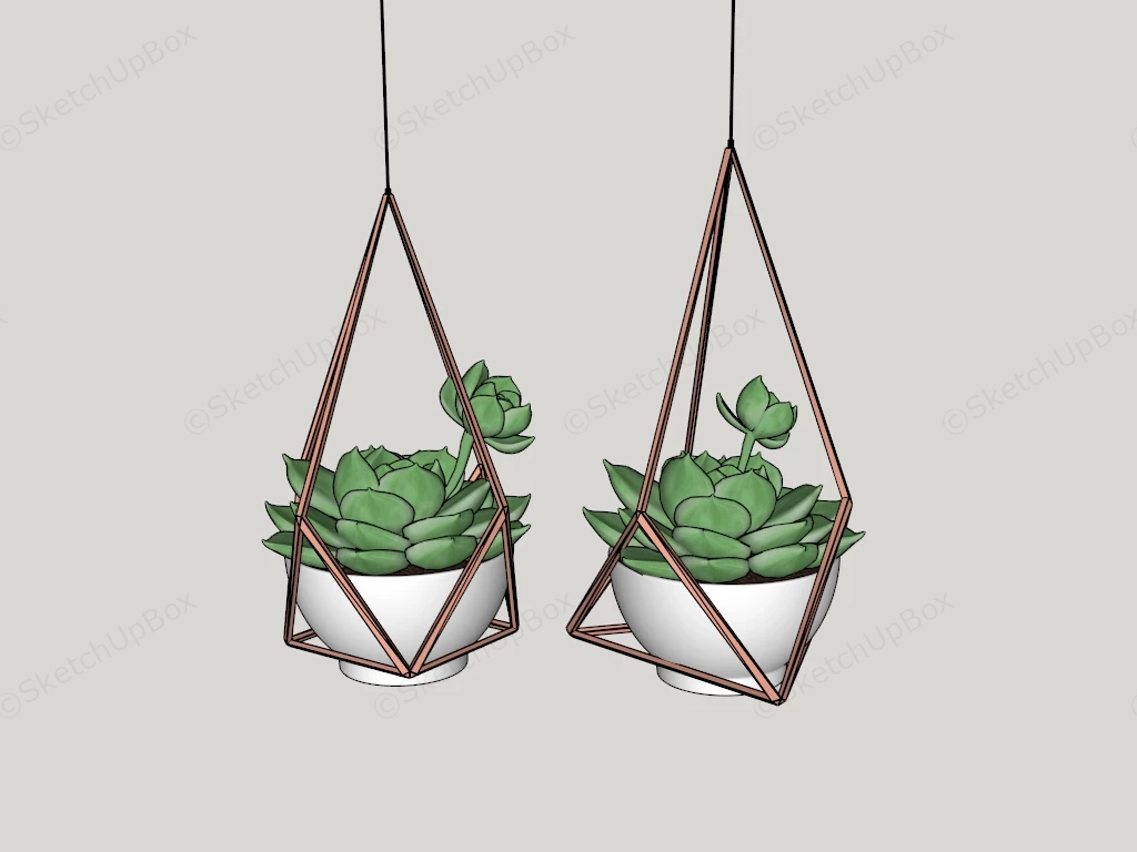 Hanging Succulent Plants sketchup model preview - SketchupBox