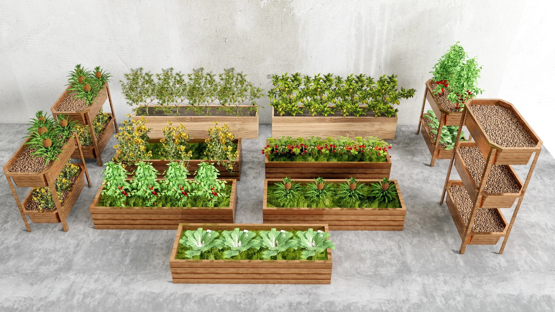 Raised Vegetable Planters sketchup model preview - SketchupBox