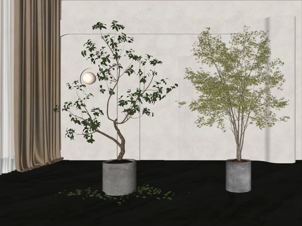 Large Indoor Trees sketchup model preview - SketchupBox