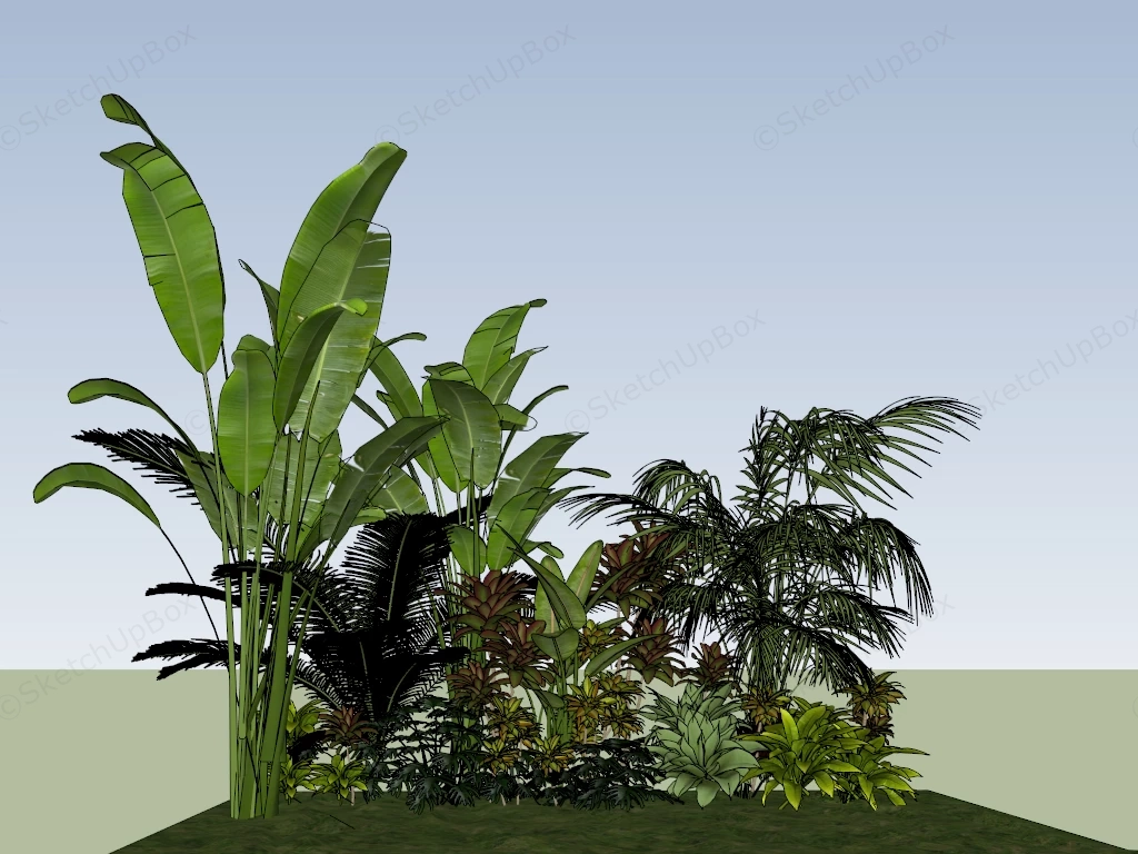 Tropical Ornamental Plants sketchup model preview - SketchupBox