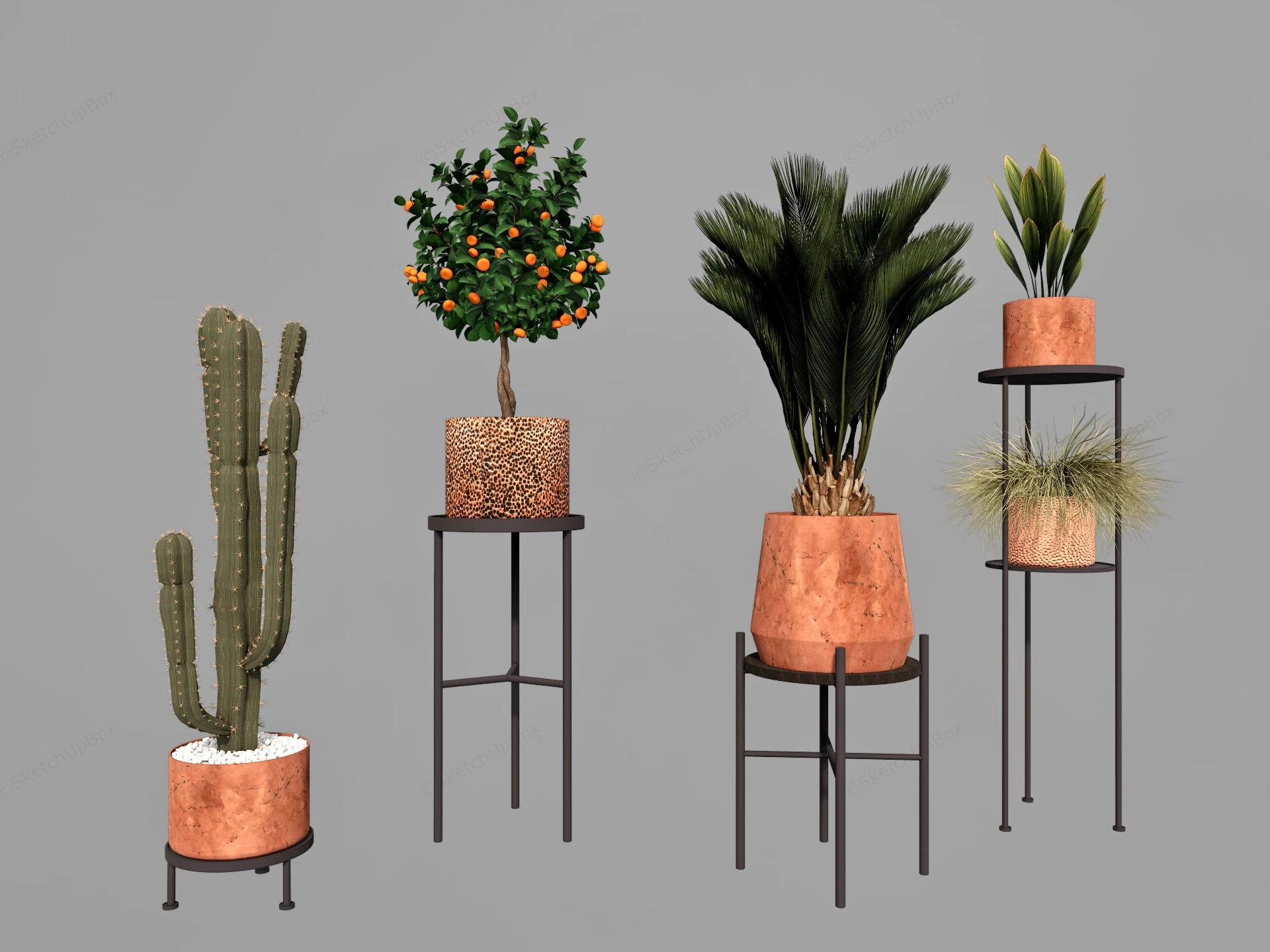 Houseplants With Stands sketchup model preview - SketchupBox
