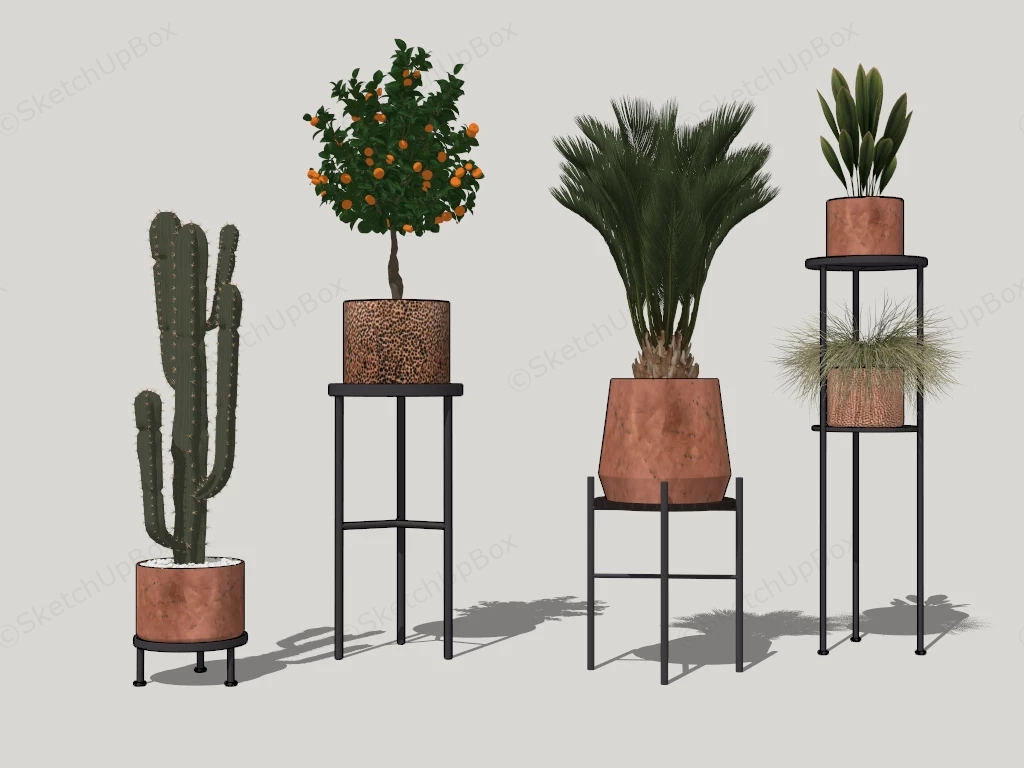 Houseplants With Stands sketchup model preview - SketchupBox