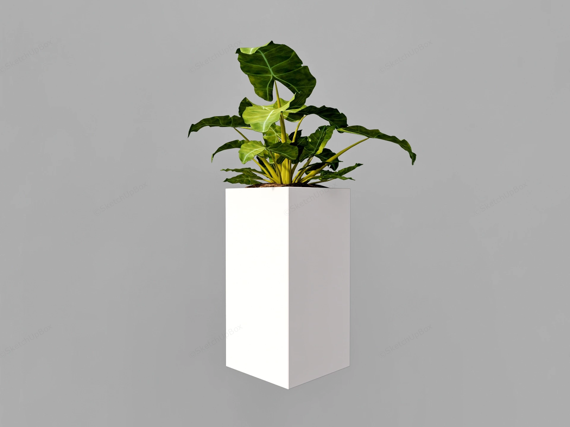 Column White Tall Planter sketchup model preview - SketchupBox