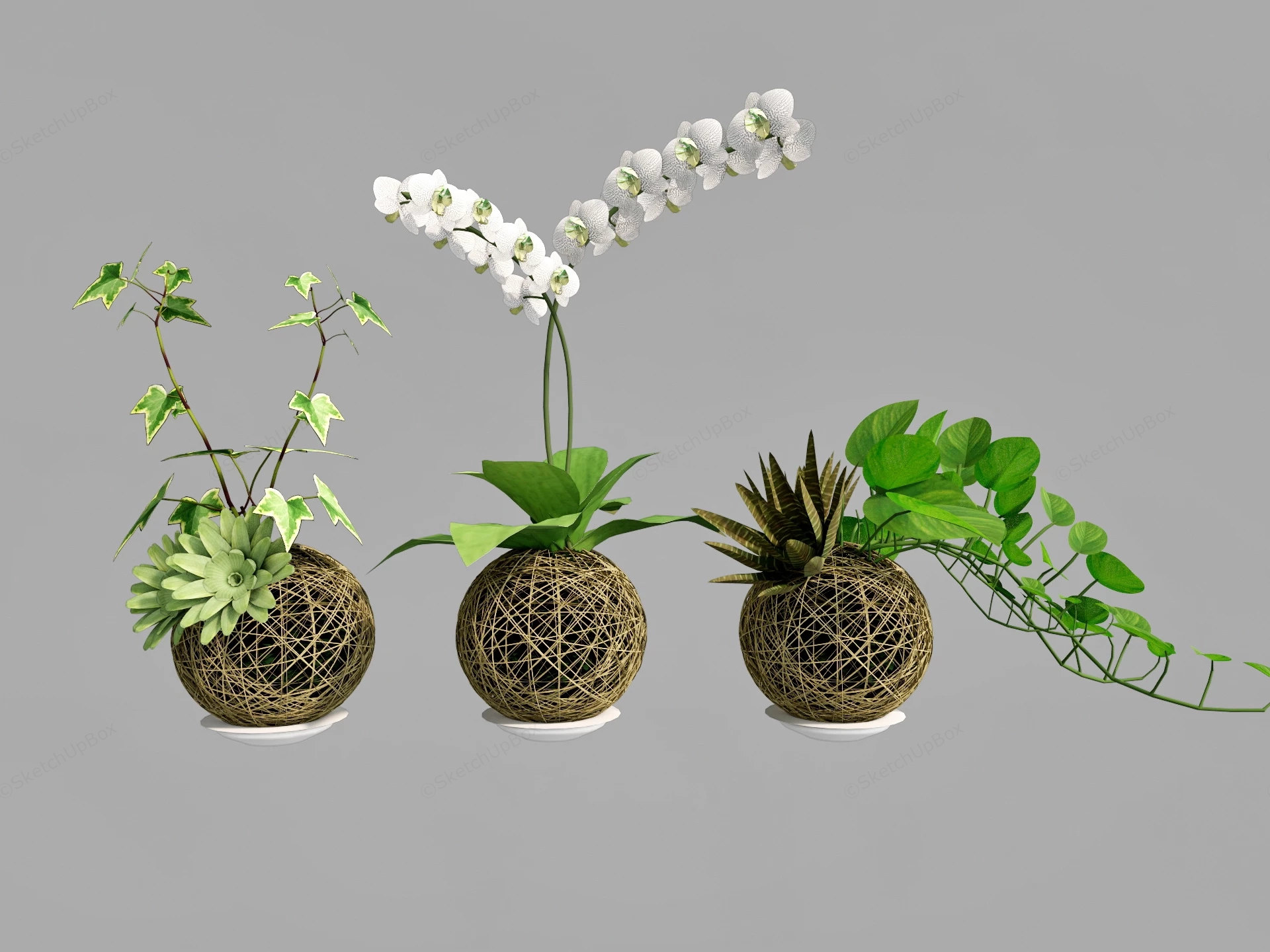 Handcrafted Bamboo Planter sketchup model preview - SketchupBox