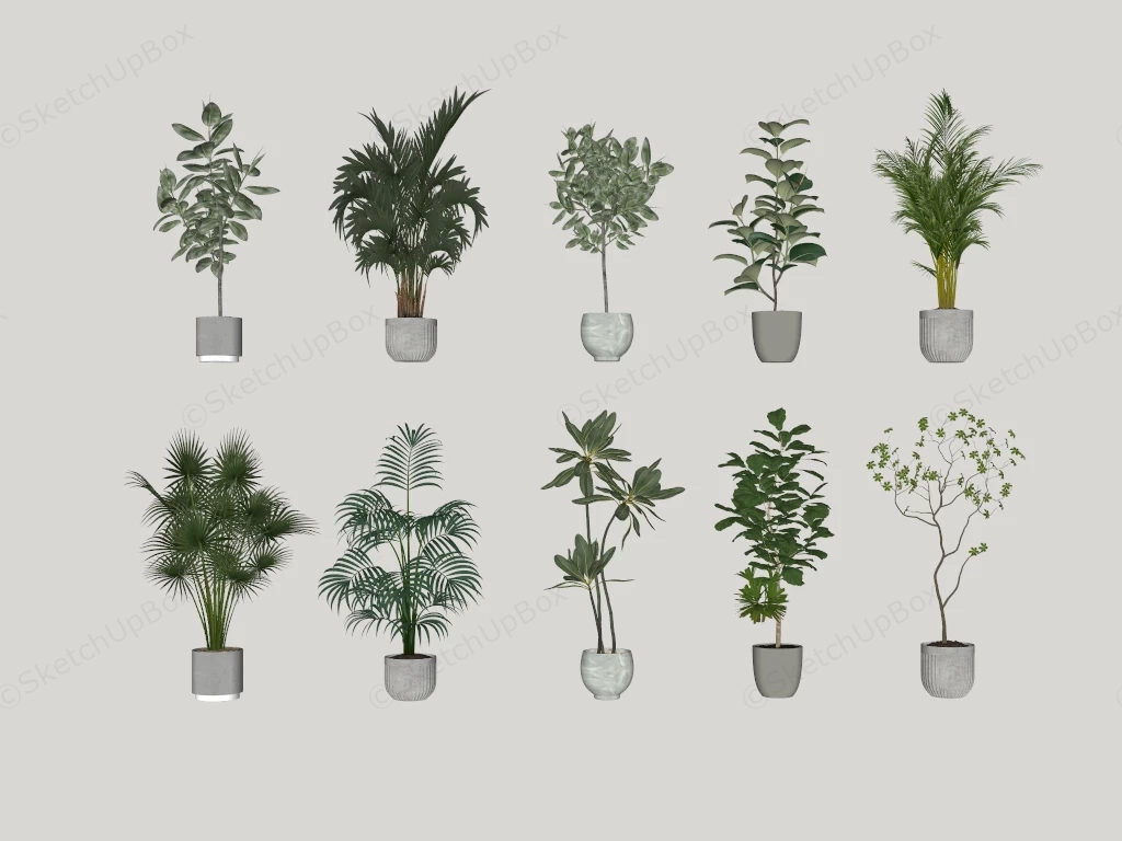 Tall Potted Plants sketchup model preview - SketchupBox