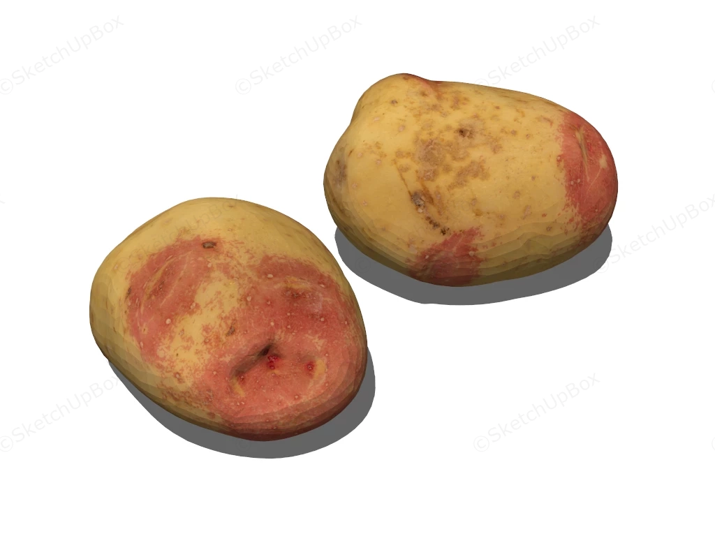 White Potatoes sketchup model preview - SketchupBox