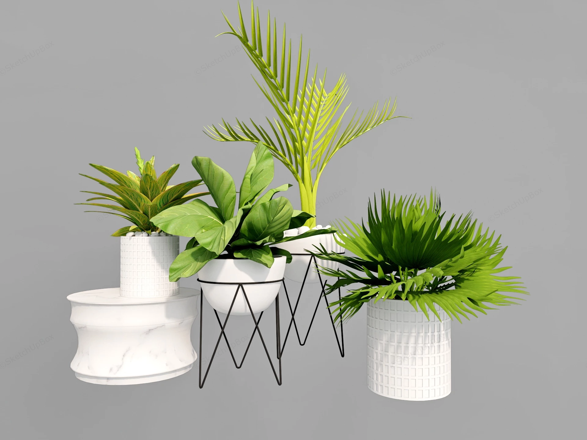 Green Leaf Indoor Plants sketchup model preview - SketchupBox