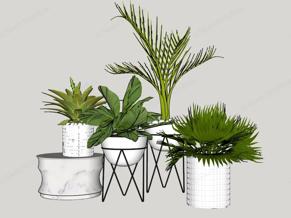 Green Leaf Indoor Plants sketchup model preview - SketchupBox
