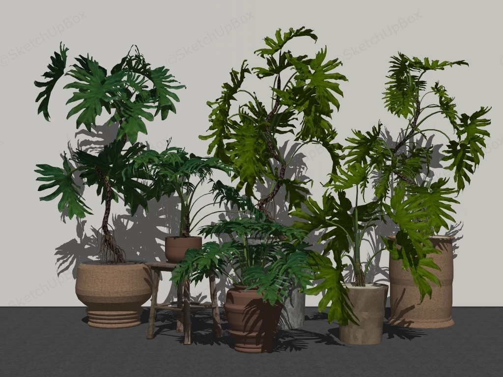 Potted Split Leaf Philodendron Plants sketchup model preview - SketchupBox