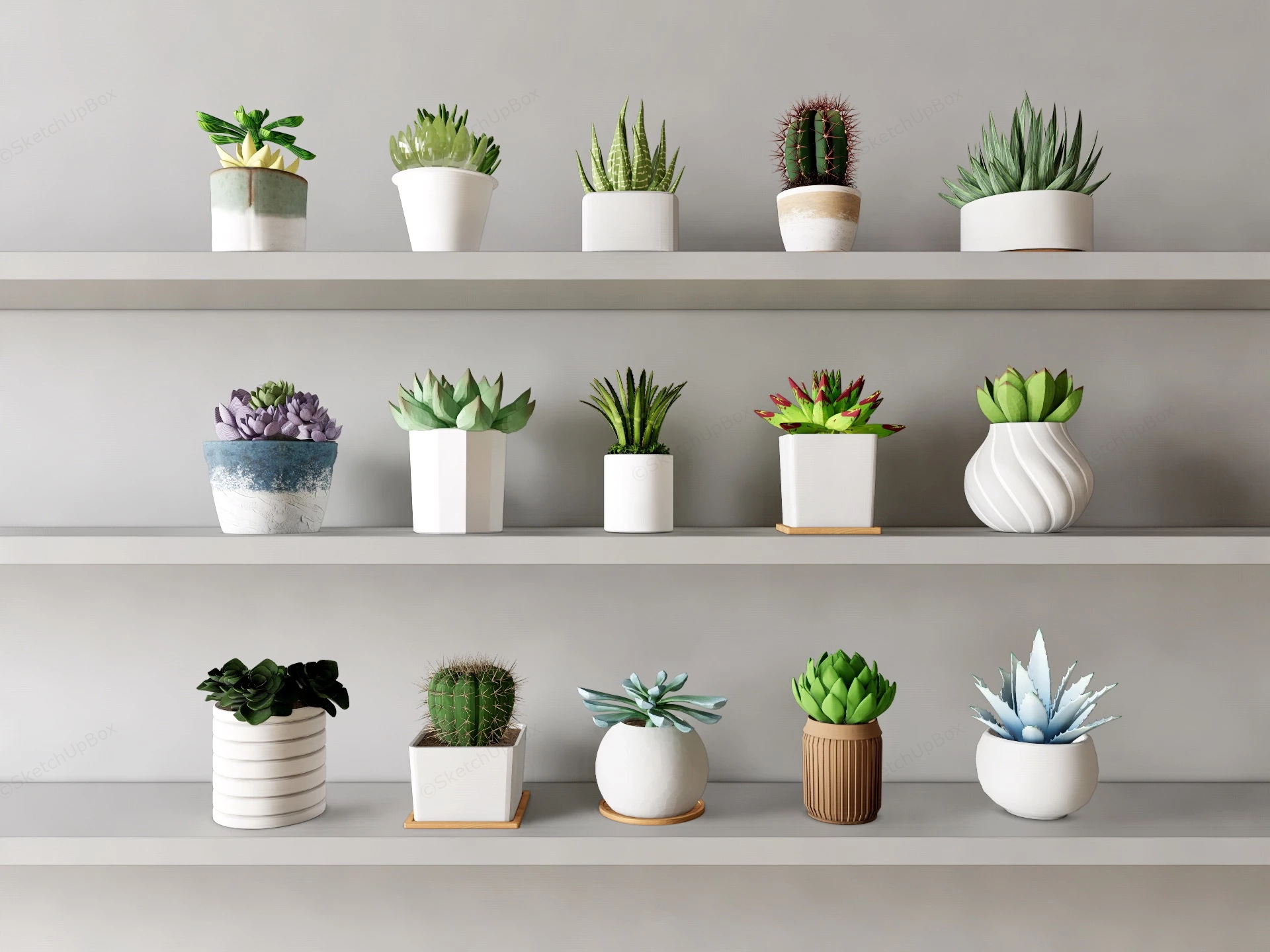 Collection Of Potted Succulent Plants sketchup model preview - SketchupBox
