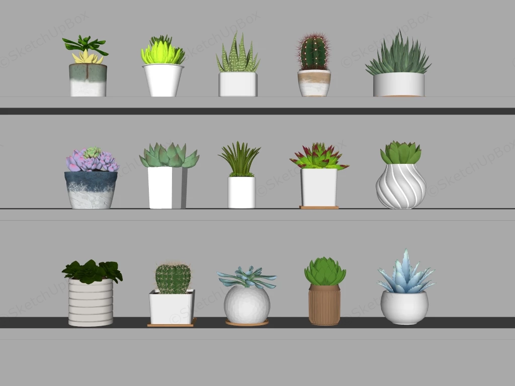 Collection Of Potted Succulent Plants sketchup model preview - SketchupBox