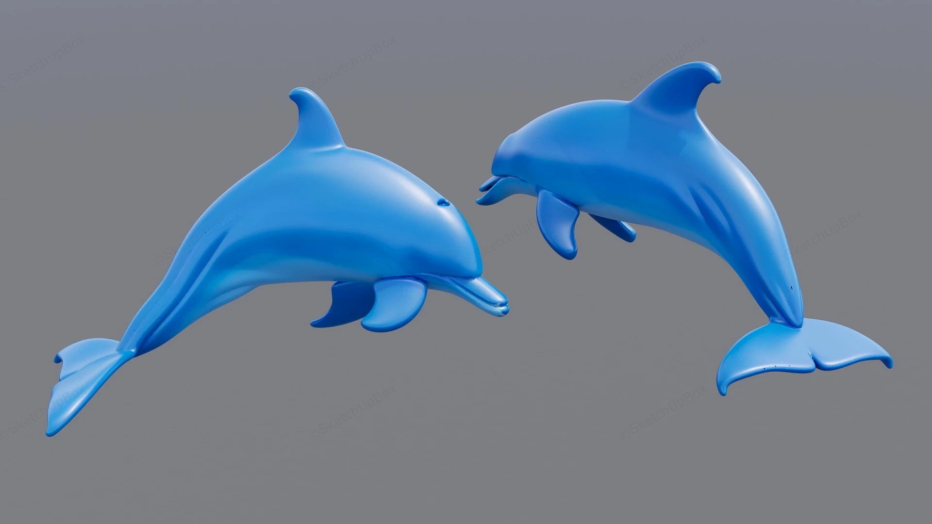 Blue Dolphins sketchup model preview - SketchupBox