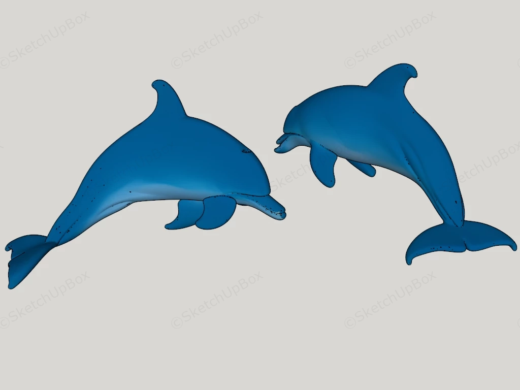 Blue Dolphins sketchup model preview - SketchupBox