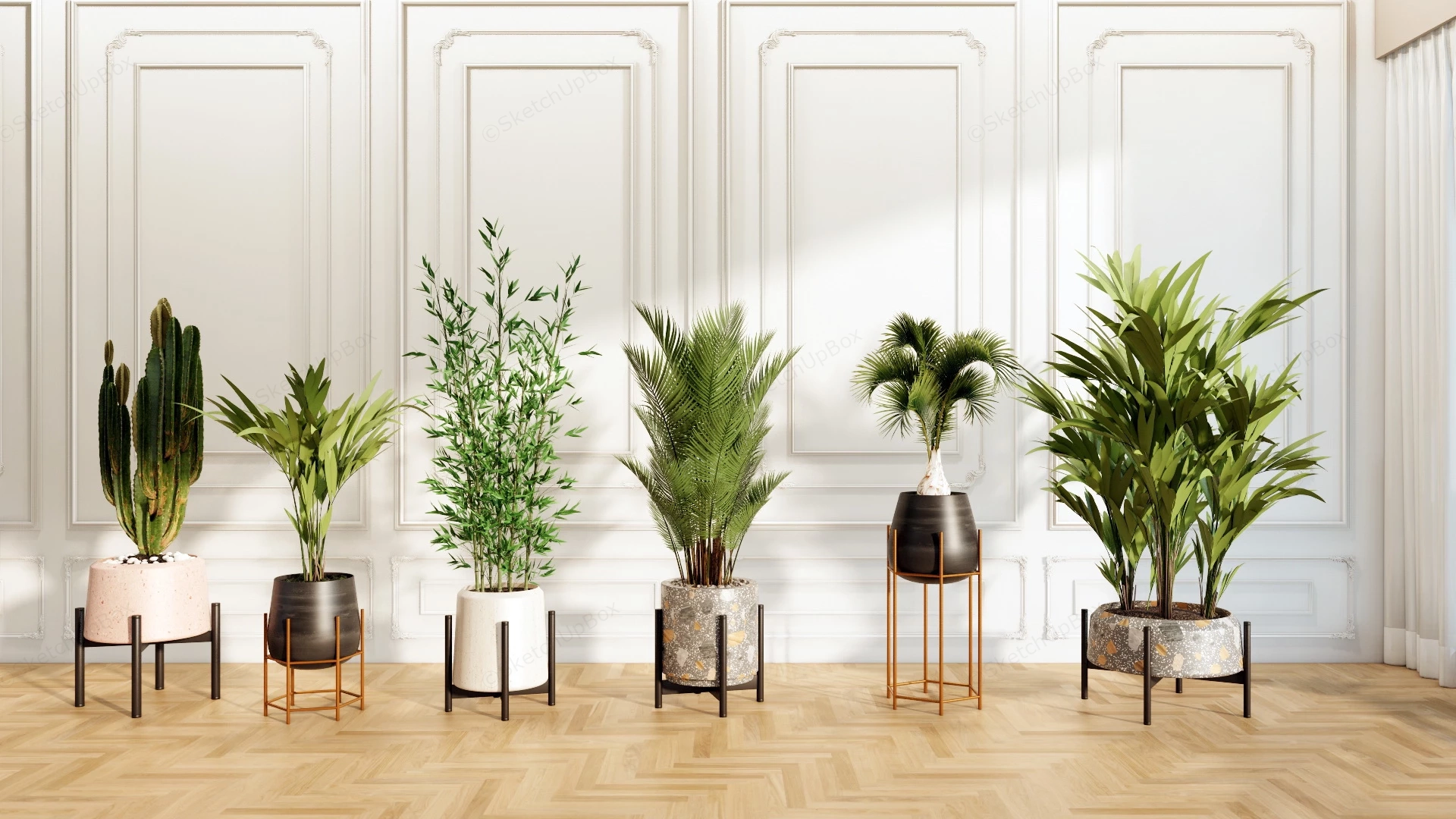 Modern Houseplants sketchup model preview - SketchupBox