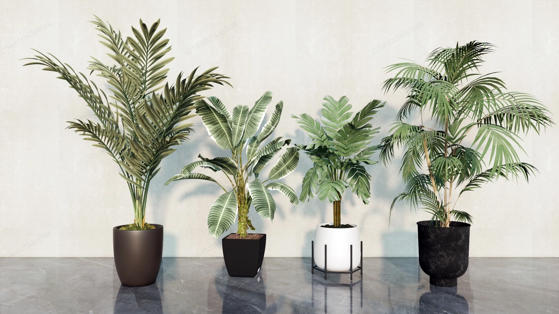 Big Indoor Houseplants sketchup model preview - SketchupBox